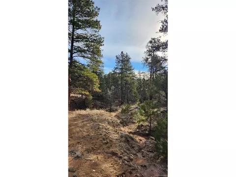 7 Th Trl, Cotopaxi, CO 81223 photo 24