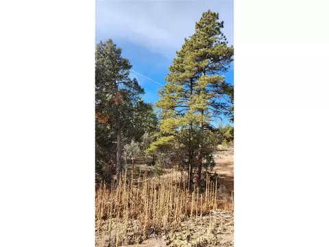 7 Th Trl, Cotopaxi, CO 81223 photo 27