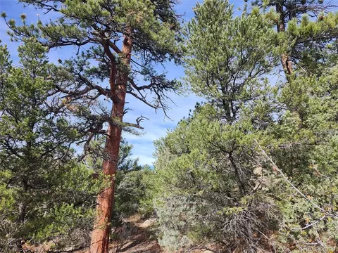 7 Th Trl, Cotopaxi, CO 81223 photo 11