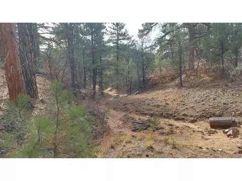 7 Th Trl, Cotopaxi, CO 81223 photo 46