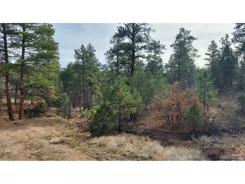 7 Th Trl, Cotopaxi, CO 81223 photo 31