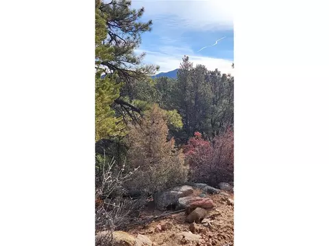 7 Th Trl, Cotopaxi, CO 81223 photo 36