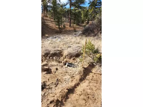 7 Th Trl, Cotopaxi, CO 81223 photo 20