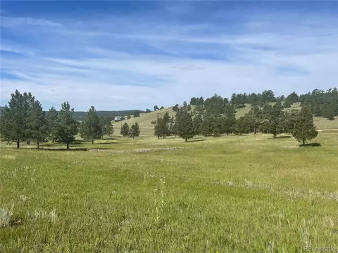 38 Apache Cir, Florissant, CO 80816