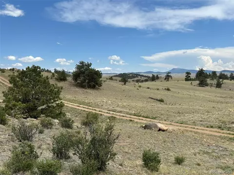 1626 Mahican Rd, Hartsel, CO 80449 photo 15