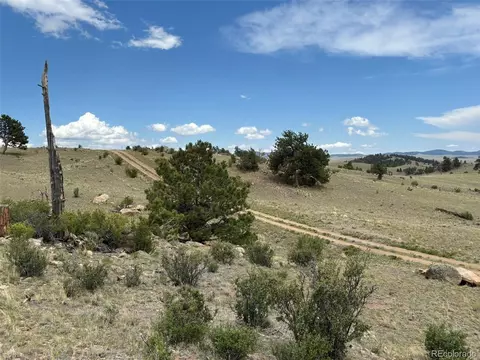 1626 Mahican Rd, Hartsel, CO 80449 photo 11