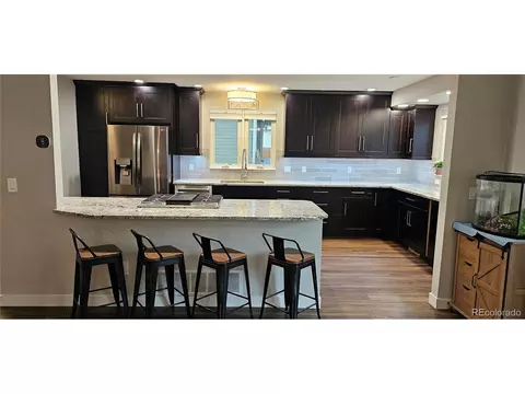 11355 Haswell Dr, Parker, CO 80134