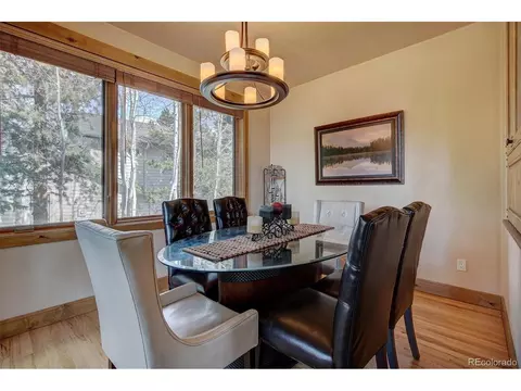 1730 Red Hawk Rd, Silverthorne, CO 80498 photo 8