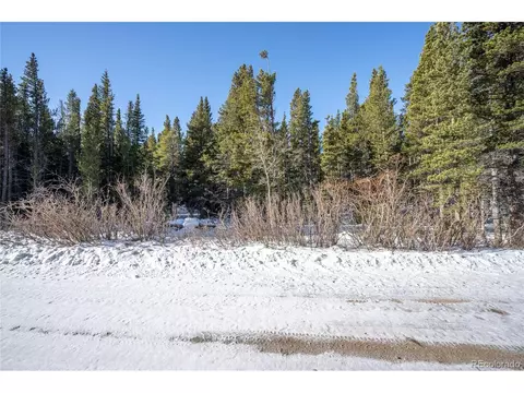 112 Deer Rd, Idaho Springs, CO 80452