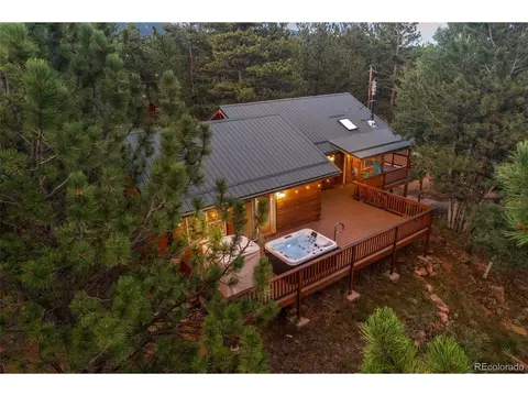 145 Bandit Ln, Bailey, CO 80421