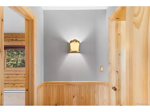 145 Bandit Ln, Bailey, CO 80421 photo 6
