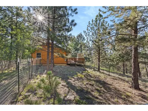 145 Bandit Ln, Bailey, CO 80421 photo 13