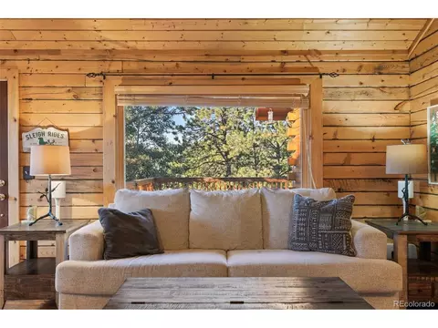 145 Bandit Ln, Bailey, CO 80421 photo 5