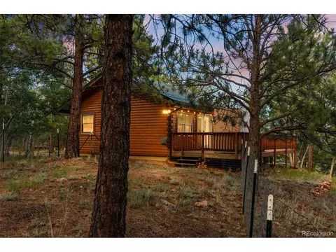 145 Bandit Ln, Bailey, CO 80421 photo 16