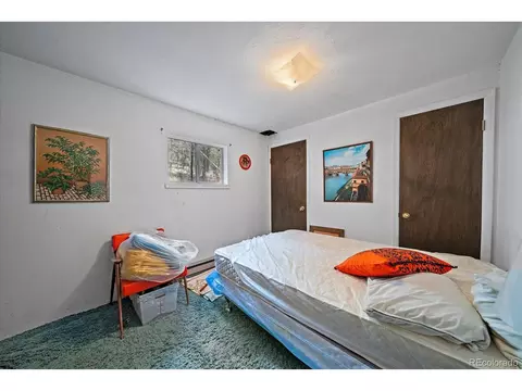 118 Neish St, Bailey, CO 80421 photo 14