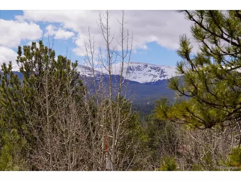 118 Neish St, Bailey, CO 80421 photo 27