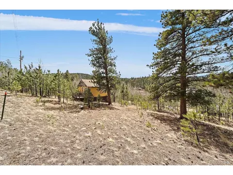 118 Neish St, Bailey, CO 80421 photo 17