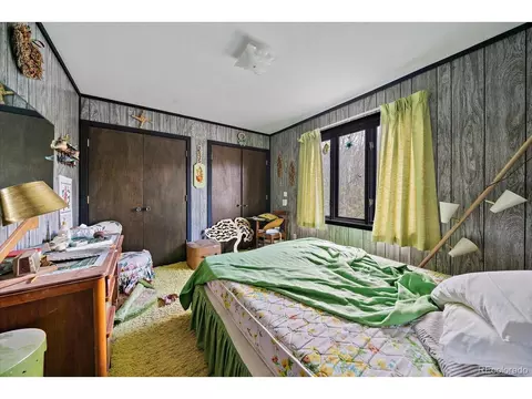 118 Neish St, Bailey, CO 80421 photo 10