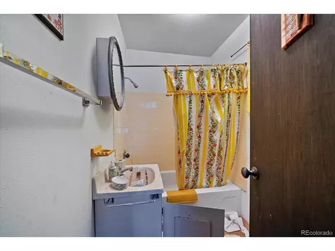 118 Neish St, Bailey, CO 80421 photo 11
