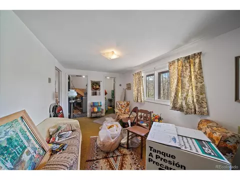 118 Neish St, Bailey, CO 80421 photo 12