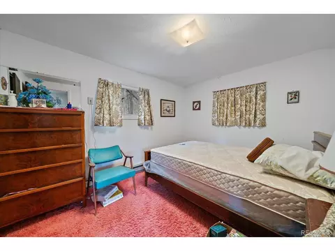 118 Neish St, Bailey, CO 80421 photo 13