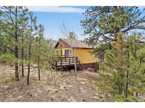 118 Neish St, Bailey, CO 80421 photo 3