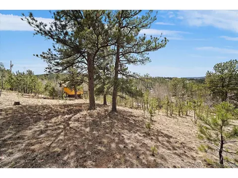 118 Neish St, Bailey, CO 80421 photo 18