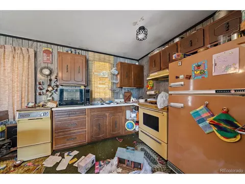 118 Neish St, Bailey, CO 80421 photo 9