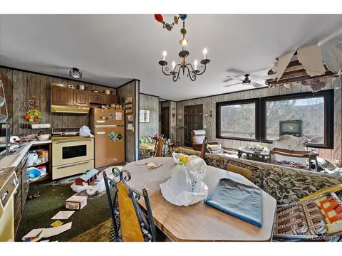 118 Neish St, Bailey, CO 80421 photo 7
