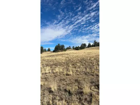950 Pack Saddle Rd, Hartsel, CO 80449 photo 8