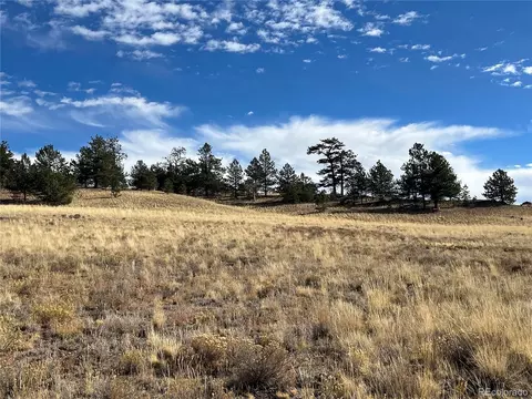 950 Pack Saddle Rd, Hartsel, CO 80449 photo 2