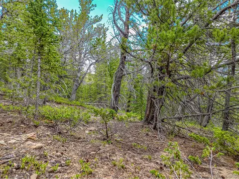 111 Mosquito Creek Rd, Black Hawk, CO 80422