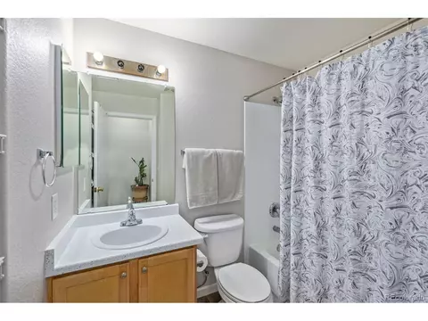 20694 E 47 Ave, Denver, CO 80249 photo 21