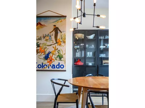 903 E 13th Ave, Denver, CO 80218 photo 5