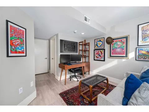 903 E 13th Ave, Denver, CO 80218 photo 24