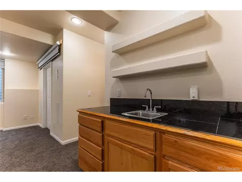 9112 E 29th Pl, Denver, CO 80238 photo 24
