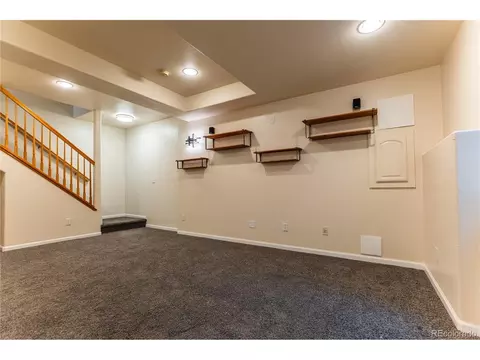 9112 E 29th Pl, Denver, CO 80238 photo 22