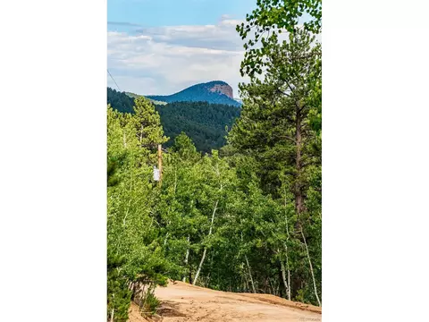 241 Schooley Rd, Bailey, CO 80421 photo 35