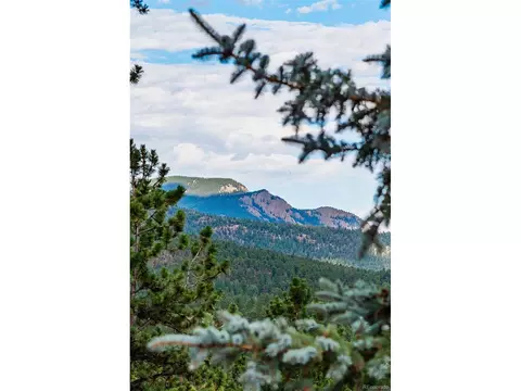 241 Schooley Rd, Bailey, CO 80421 photo 30