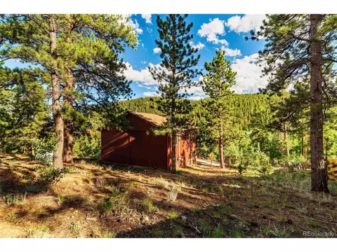 241 Schooley Rd, Bailey, CO 80421 photo 34