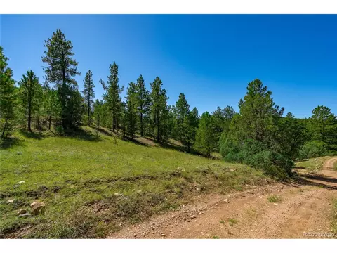 9 Sundance Rd, Cotopaxi, CO 81223 photo 14