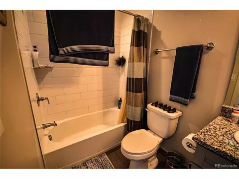 247 Smith Ranch Rd, Silverthorne, CO 80498 photo 10