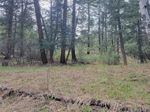 7726 S Settlers Dr, Morrison, CO 80465 photo 6