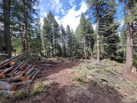 7726 S Settlers Dr, Morrison, CO 80465 photo 5