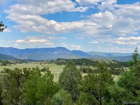 95 Harmon Ct, Cotopaxi, CO 81223