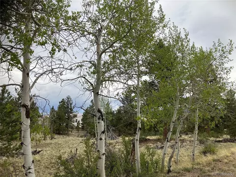 256 Bandana Rd, Hartsel, CO 80449