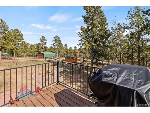 Exterior - Undisclosed, Divide, CO 80814 photo 2 of 11