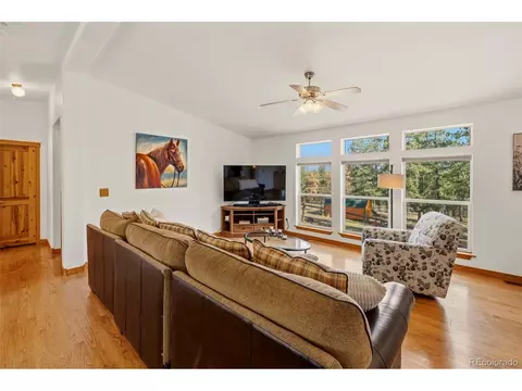 Living - Undisclosed, Divide, CO 80814 photo 1 of 3
