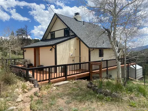 126 S Circle Dr, Bailey, CO 80421 photo 3