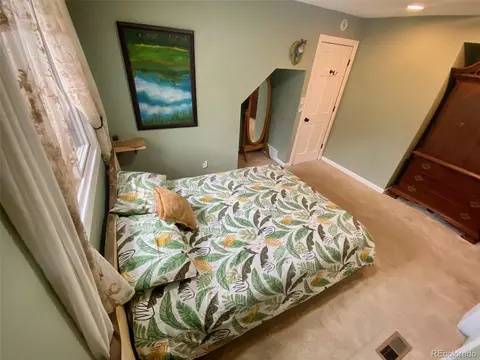 126 S Circle Dr, Bailey, CO 80421 photo 20